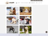 mouss-le-chien.com Thumbnail