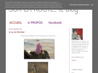 Surlaroute-blog.fr