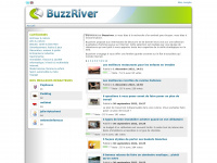 buzzriver.fr Thumbnail