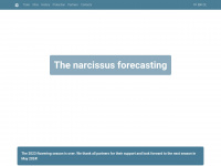 Narcisses.com