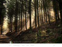 Scouts-versoix.ch