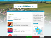 cauroy-les-hermonville.fr Thumbnail