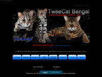tweecat.com Thumbnail