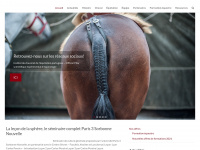 Equitationportugaise.com