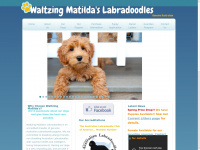 waltzingdoodles.com Thumbnail