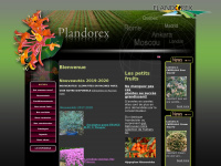 plandorex.com