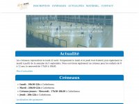 asptt-orleans-badminton.fr Thumbnail