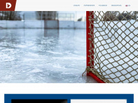 dskatehockey.com Thumbnail