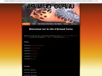 Arnaudcornu.fr