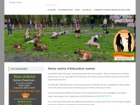 education-canine-cepc.fr