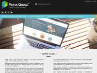 pexys-group.com Thumbnail