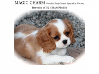 magic-charm.com