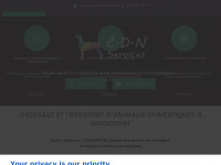 cdn-services.fr Thumbnail