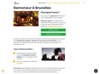 bruxelles-ramoneur.be Thumbnail