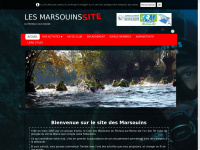 marsouins-du-perreux.fr Thumbnail