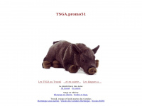 tsga.promo51.free.fr Thumbnail