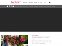 loches-valdeloire.com Thumbnail