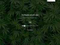 vente-cannabis-cbd.ch Thumbnail