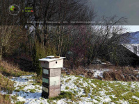 apiculture-naturelle.be Thumbnail