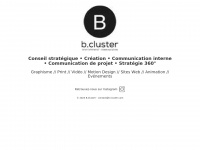 b-cluster.fr Thumbnail