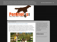 Perdrioles.blogspot.com