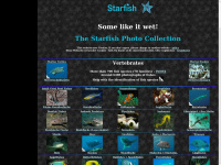 starfish.ch Thumbnail