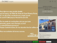ivoire-troyes.com Thumbnail