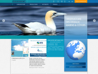 Oiseaux-marins.org