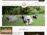 domainedepinsolle.fr Thumbnail