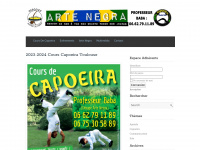 toulouse-capoeira.fr Thumbnail