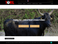 toriltv.com Thumbnail