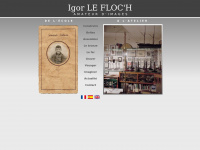 igor.lefloch.free.fr Thumbnail