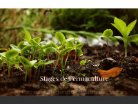 Stagespermaculture.fr