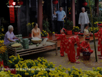 tradition-vietnam.fr Thumbnail
