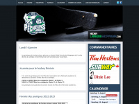 hockeylamequeshippagan.com Thumbnail