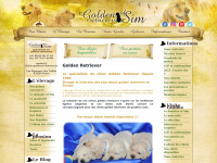 chiots-golden-retrievers.fr