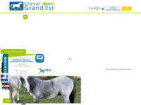 cheval-grandest.com Thumbnail