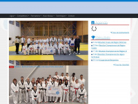 taekwondo-aura.com Thumbnail