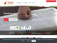 hamelin-hygiene.com Thumbnail