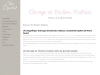 elevage-bichon-maltais.com Thumbnail