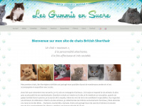 chat-british-des-gummis.fr Thumbnail