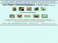 insectes-net.fr