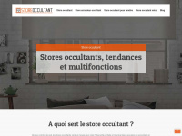 store-occultant.info