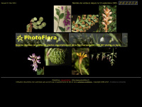 photoflora.fr Thumbnail