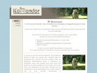 Komondor.fr