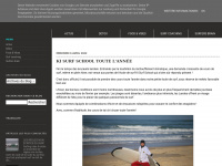 surf-coaching-hossegor.blogspot.com