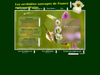 orchideesdefrance.com