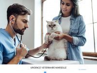 veterinaire-de-garde-marseille.fr