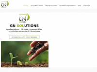 gnsolutions.fr Thumbnail