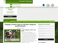 paysagiste-elagueur-60.fr Thumbnail